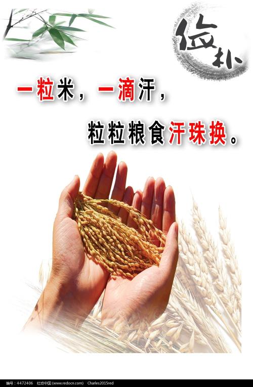 学历认证报告丢失怎么补办